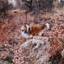 vision-in-my-soul avatar