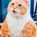 visionarybeginnings avatar