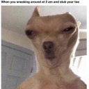 visionedpainter avatar