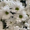 visnelivodkasblog avatar