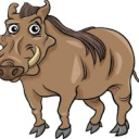 visual-warthog avatar