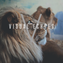 visualechoees avatar