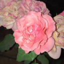 visualemotion avatar