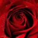 vitalproximity avatar