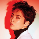 vitaminsoek-remade avatar