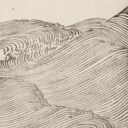 vitisviniferae avatar