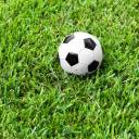 vitoriamesquita avatar