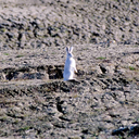 vitriolistruth-blog avatar