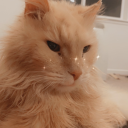 viva-la-pluto-dam-you avatar