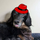 vivalaplutothedachshund avatar