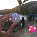 vive-la-vida-1 avatar