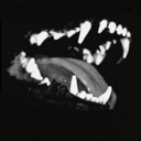 viverelavita77 avatar