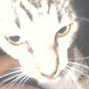 vivicas-dollhouse avatar