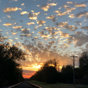 vividd-dreamss avatar