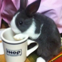 vivplayseverything avatar