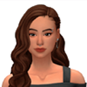 vixcsysims avatar