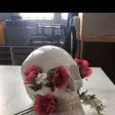 vixenofthestars avatar