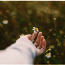 vixsdreamworld avatar