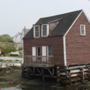 vladimir-poutine-ayyy avatar