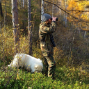 vladkasatkin-blog avatar