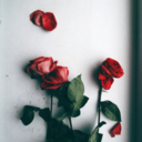 voce-del-silenzio-assoluto avatar