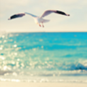 vodkaaparadise avatar