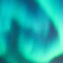 vogel-ohne-fluegel avatar