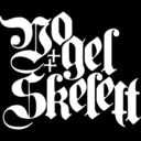 vogelskelett-blog avatar