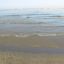 vogliosolamentete avatar