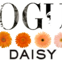 vogue-daisy avatar