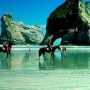 voguesimsofficial avatar