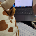 vohchaandniraat avatar