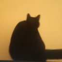 void-goblin-void avatar