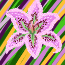 void-lily avatar