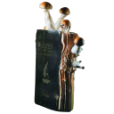 void-of-commotion avatar