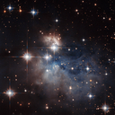 void-of-my-thoughts avatar