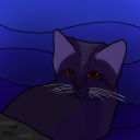 void-sand-cat avatar