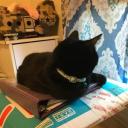 voidedwatcher avatar