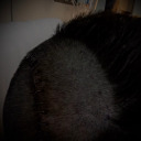 voidlightmoon avatar