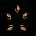 voidofthesupernovae avatar