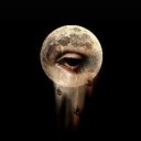 voidsventurer avatar