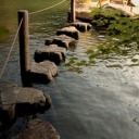 volatile-vertex avatar