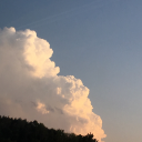 volatilenomad avatar