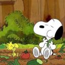 volcanic-dykes avatar