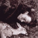 volchok-v-tumane avatar