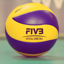 voleybolaski avatar