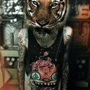 volkova-44-blog avatar