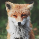 vomissent-amour avatar