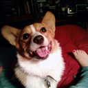 vonsneezinpooch avatar