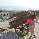 voo-de-borboletaa avatar